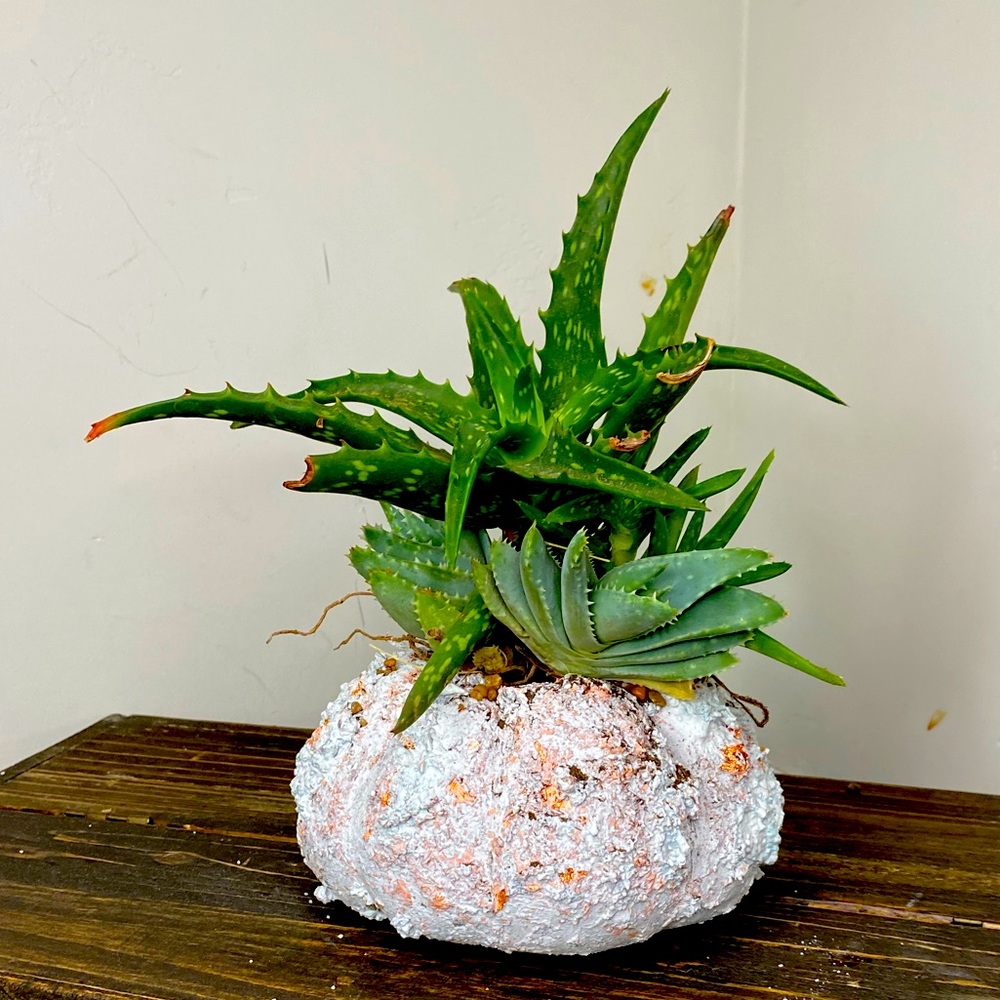 PUMPKIN / PLANTER - Handmade home Decor